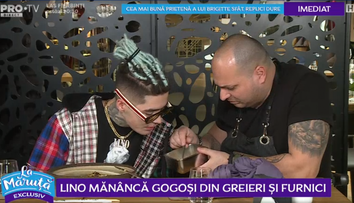 VIDEO Lino Golden mănâncă gogoși din greieri și furnici
