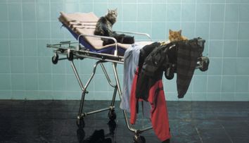 „Moartea domnului Lăzărescu”, comedia care te face să râzi cu nod în gât