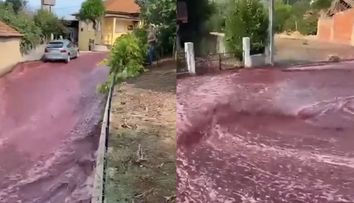 Peste două milioane de litri de vin roșu au inundat un oraș din Portugalia, după ce rezervoarele în care era ținut au cedat
