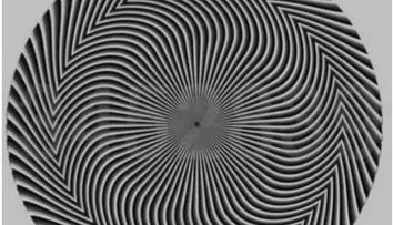 Iluzia optică extrem de dificilă, care a împărțit internetul! Ce număr vedeți în imaginea spiralată?