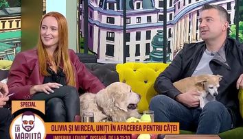 Mircea Căpățînă și Olivia Pamfil, uniți în afacerea pentru căței! Cât costă ca un câine să fie tratat regește