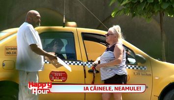 Mirabela Dauer ar face orice pentru cainii ei! L-a snopit in bataie pe barbatul care a vrut sa ii fure animalele de companie. VIDEO