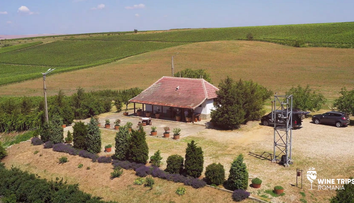 Wine Trips România | Descoperind Oltenia profundă la Crama Oprișor