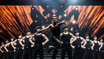 Ce pretenții are celebra trupă de dans irlandez „Lord of the dance”!
