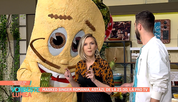 Ce mesaj a transmis Șaorma de la Masked Singer în platoul 