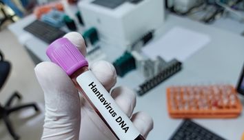 Câte cazuri de Hantavirus s-au înregistrat în România în ultimii ani. Care este riscul de infecție în țara noastră, potrivit INSP