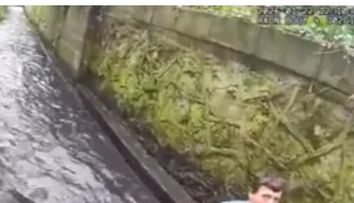 Cea mai amuzantă arestare. Momentul când un hoț țipă ca o fetiță, în timp ce e mușcat de agentul canin Bowser, înainte să-i cadă pantalonii și să fie reținut de poliție