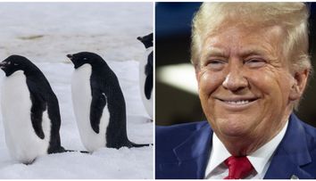 Cea mai nouă trăsnaie a lui Donald Trump. A impus tarife de 10% unei insule locuite doar de pinguini. Comentariile sunt hilare: ”Să plătească, că-și permit!”