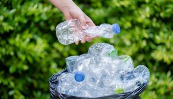 Cât câștigă cei care colectează sticlele nereturnate. Suma este șocantă. „Ar fi între 5.000 şi 6.000 de români care  pun o pâine pe masă datorită sistemului de garanţie-returnare”