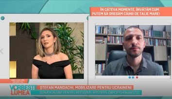 Ștefan Mandachi: 