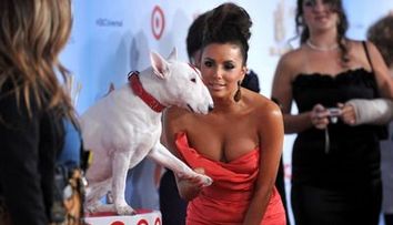 Ce decolteu sexy are Eva Longoria! FOTO