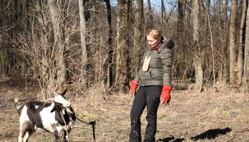 Momente tensionate la Ferma Vedetelor