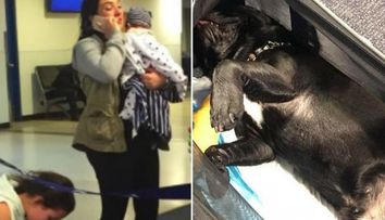 Au fost pusi sa puna catelul in locul destinat bagajelor, in avion, timp de 3 ore. Ce s-a intamplat cu animalul