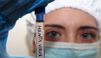 Hantavirus în România. Ce se întâmplă în spitalul unde a fost internat pacientul suspect de hantaviroză
