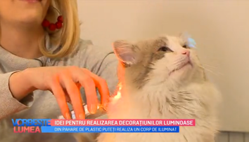 VIDEO Idei pentru realizarea decorațiunilor luminoase