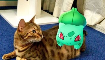 O multime de oameni publica imagini care demonstreaza ca animalele lor pot detecta Pokemoni. Dovezile care fac furori pe internet