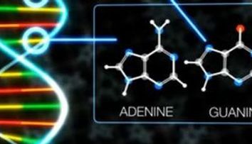 O noua descoperire NASA: Unele componente ale ADN-ului provin din meteoriti