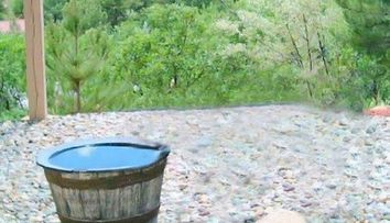 In gradina lor se intampla ceva ciudat, asa ca au instalat o camera de supraveghere. Au avut parte de cea mai mare surpriza cand s-au uitat pe inregistrare