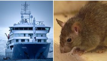 Cât a costat biletul pentru ”croaziera groazei” și ce activități oferea vasul de lux MV Hondius, pe care a izbucnit focarul de hantavirus