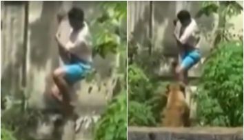 Momentul îngrozitor în care un tânăr este sfâșiat de o leoaică într-o grădină zoologică! Scenele s-au petrecut sub privirile vizitatorilor