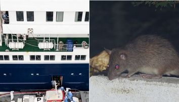 Alertă după focarul de hantavirus: 23 de pasageri ai vasului MV Hondius au coborât în Santa Elena după primul deces. OMS îi caută în mai multe țări