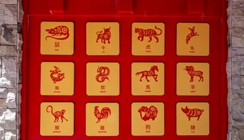 Cristina Groza schimbă toate calculele din zodiacul chinezesc! După 7 iulie, o zodie poate pierde bani, alta intră în cea mai agitată lună