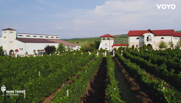 Wine Trips România, sezonul 4 | Crama Liliac, vinuri din Lumea Nouă într-o zonă viticolă istorică
