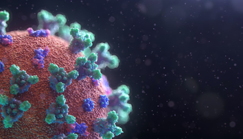 (P) Reinfectarea cu noul coronavirus - cât timp după vindecare rămân pacienţii imuni la COVID-19?