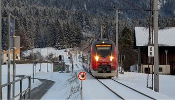 Incident bizar: Un român a încercat să fure un tren plin cu pasageri, în Austria.  Bărbatul a fost reţinut şi dus la secţie, unde i-a agresat pe polițiști