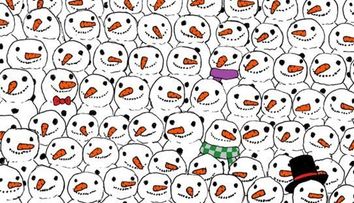 Imaginea care a captivat internetul! Tu vezi unde este ursul panda in poza?