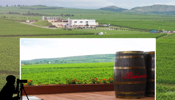Wine Trips România | Crama Budureasca, locul în care vinul e mereu acasă