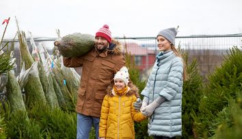 Cât a ajuns să coste un brad de Crăciun în 2024! Suma de care ai nevoie pentru unul natural sau artificial