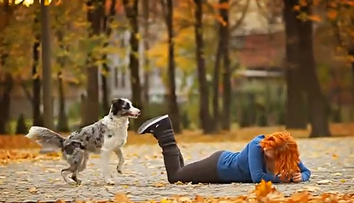 Si-a invatat cainele Border Collie peste 50 de trucuri uimitoare. Clipul care a impresionat sute de mii de oameni