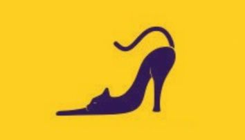 Test de personalitate viral! Ce vezi prima oară în imagine: un pantof sau o pisică? Află ce dezvăluie răspunsul despre tine