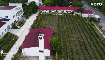Wine Trips, sezonul 4 | Crama Viișoara, răsplata oferită străbunilor deposedați de vița de vie