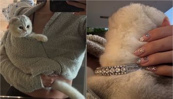 Opulență dusă la extrem: vedeta criticată dur după ce și-a accesorizat pisica cu o zgardă din diamante