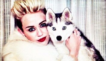 Miley Cyrus, intr-o tinuta extrem de provocatoare. De ce nimeni nu s-a uitat, insa, la ea
