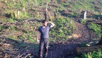 Padurile, puse la pamant de cei platiti sa le pazeasca. O ancheta de Alex Dima, duminica la 