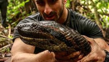 Un bărbat s-a lăsat mâncat de viu de un șarpe anaconda uriaș! Experiența a fost terifiantă. Ce s-a întâmplat