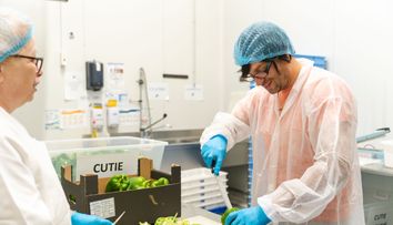 Șef sub acoperire, 21 noiembrie 2024. Dragoș Popa merge la fabrica de producție Domino's Pizza, unde o cunoaște pe Claudia Leca. Pâna ca ziua de muncă să se încheie, acesta sesizează o problemă ce trebuie rezolvată cât de repede se poate: „Foarte greu! Sunt eroi oamenii ăștia”