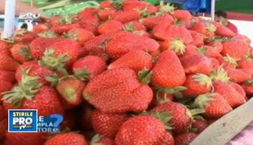 Vezi alimentele care contribuie la cresterea capacitatii intelectuale VIDEO