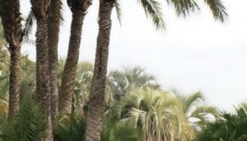 Octavian Strunila a intrat in noul an pe strazile din Barcelona FOTO!