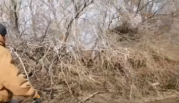 Doi pescari au auzit plansete dinspre mal. Unul dintre ei a fluierat si totul a luat o intorsatura neasteptata