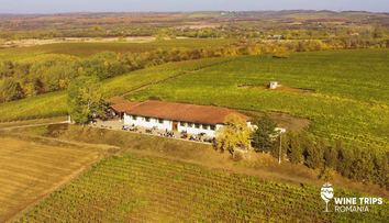 Wine Trips România | Acasă la Vinarte, locul nașterii vinului românesc modern