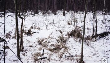 Iluzie optică! Ucraina a postat fotografia unui lunetist camuflat. Poți să-l depistezi în imagine?