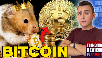 Bogații planetei, amenințați de un hamster. Povestea rozătoarei devenită milionară - Trending Review 94 cu Daragiu 