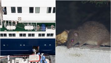 Gestul șocant făcut de căpitanul vasului de croazieră MV Hondius, imediat după ce focarul de hantavirus a făcut prima victimă: „Nava este sigură!”. Videoclipul cu el stârnește controverse