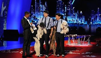 Cei mai talentati: Olate Dogs din America, Pudsey din Marea Britanie, Blue, Ozzy si Jay din Romania, preferatii publicului in show-urile 
