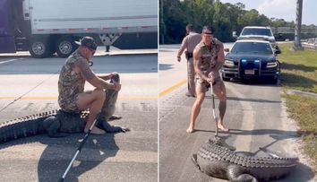 Momentul șocant când un bărbat desculț se luptă cu un aligator, pe o autostradă aglomerată. Reacția martorilor: ”Nici în cele mai negre coșmaruri ale mele...”