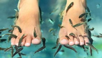 Uite ce a patit un barbat in timpul unei sedinte SPA cu pesti